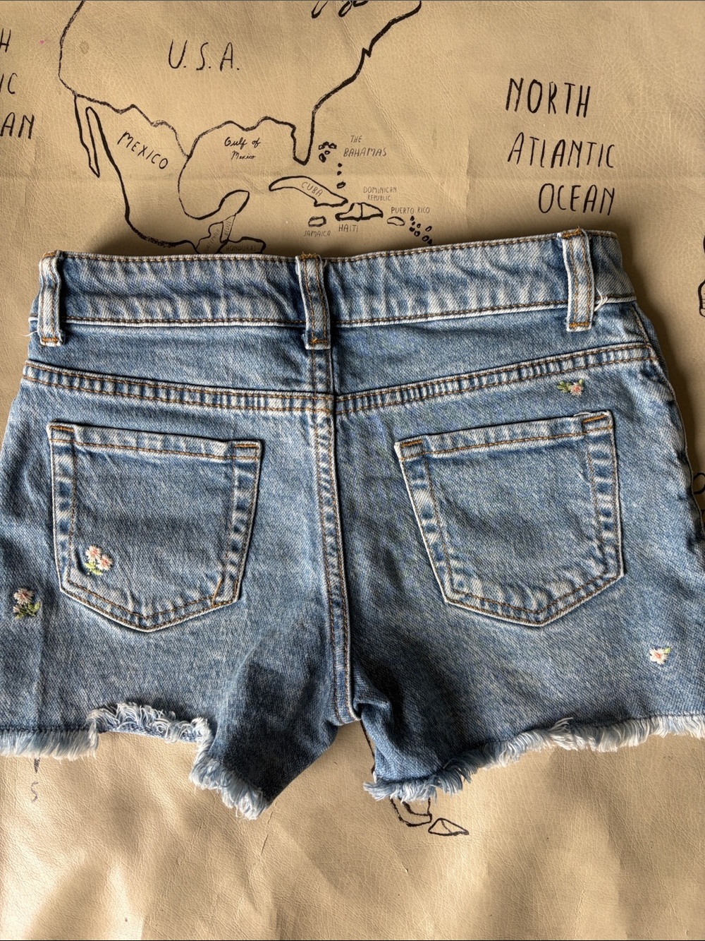 Cat & Jack Light Blue Denim Embroidered Cutoff Shorts - Picture 4 of 4
